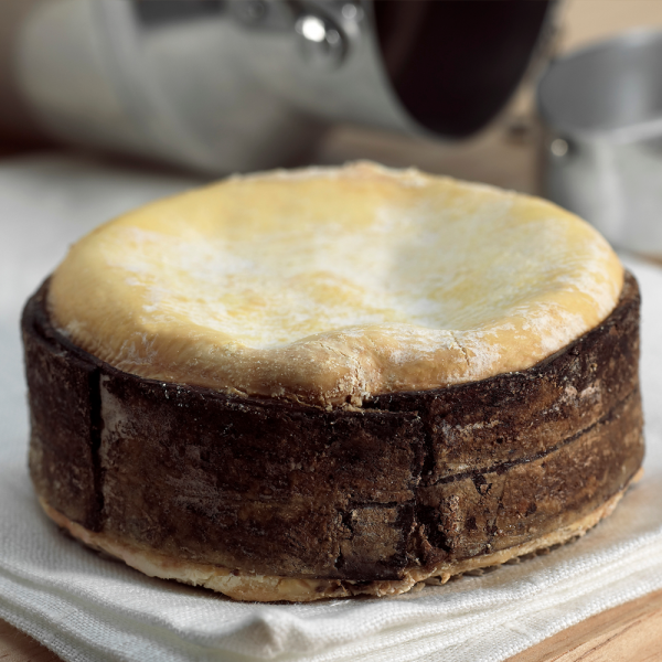 Vacherin Mont D'or Baby